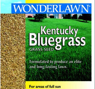 3LB KENTUCKY BLUEGRASS For Cheap